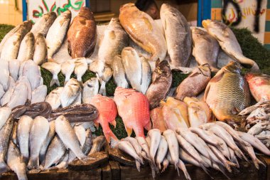 CAIRO, EGYPT - 29 Aralık 2021: Kahire, Mısır 'daki Central Fish Market' te satıcı