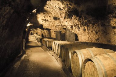 Nice view inside the winery
