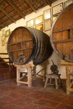 Nice view inside the winery