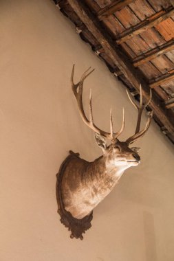 Nice view inside the winery