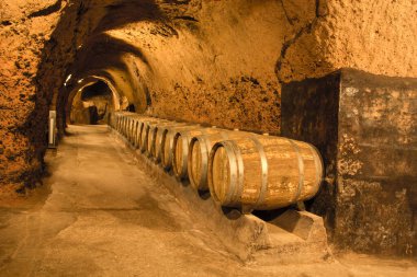 Nice view inside the winery