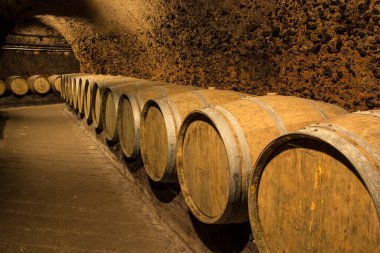 Nice view inside the winery