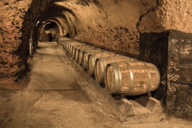 Nice view inside the winery