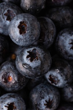 Islak yaban mersinlerinin makro fotoğrafları