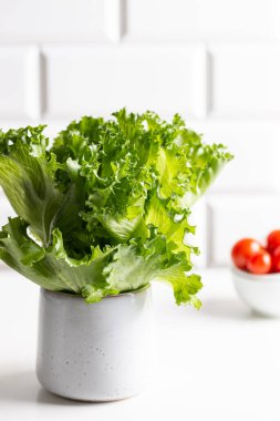 Fincanda taze salata.