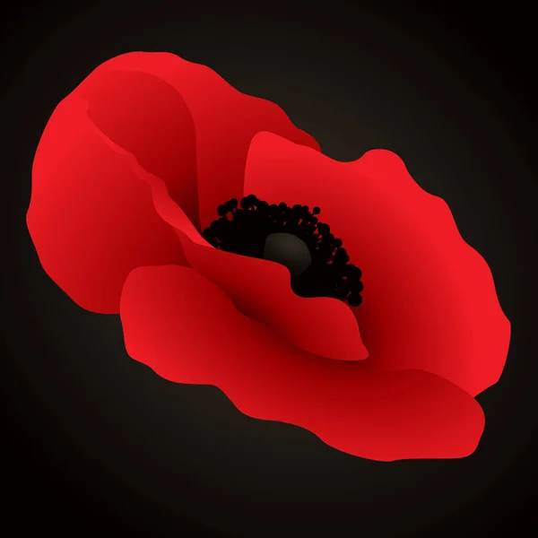 Poppy Flower Vector Realism — Stock vektor