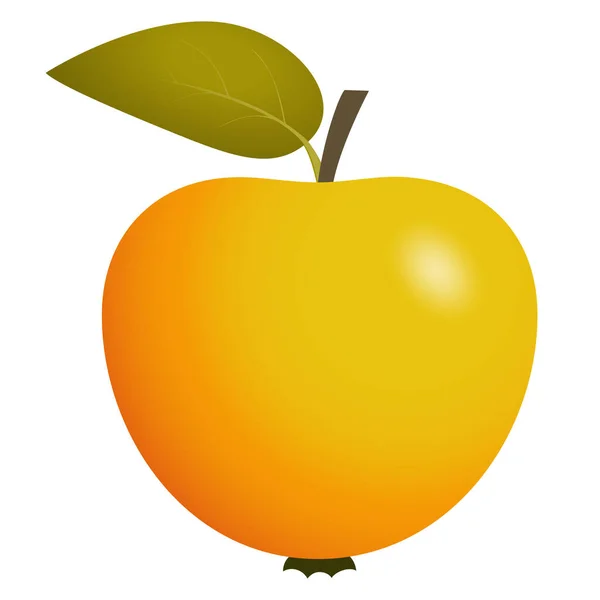 Apple Leaf Realism Vector Illustration — 图库矢量图片