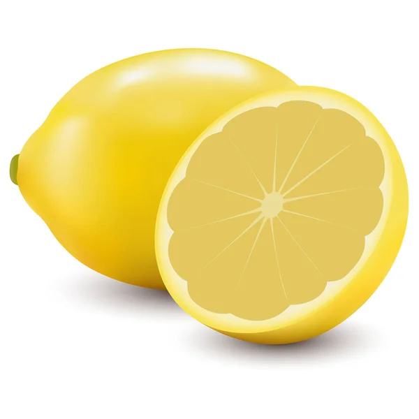 Two Yellow Lemon Realism Vector Illustration — Wektor stockowy