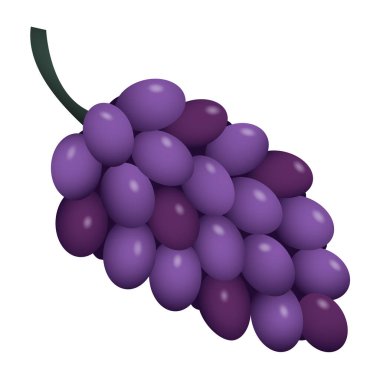 Purple grapes in realistic style vector illustration with gradient