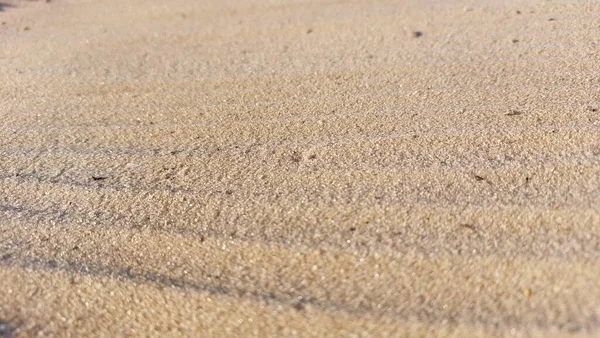 Struktura Písku Pláži — Stock fotografie