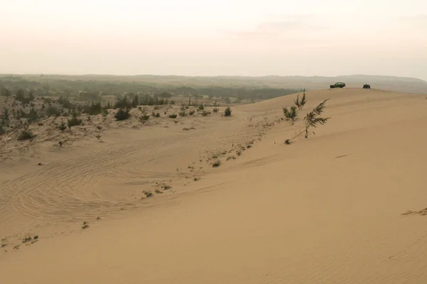 Fotspår Sanddynerna — Stockfoto