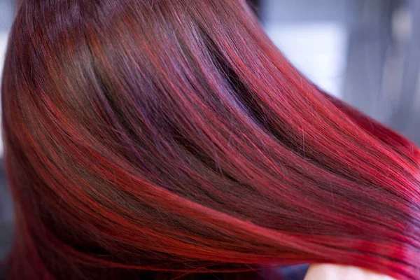 Cabello Con Pelo Largo — Foto de Stock