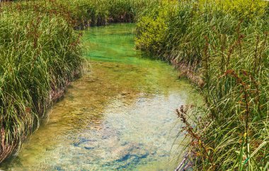 Hırvatistan. Güneşli bir gün. Plitvice Gölleri Ulusal Parkı 'ndaki çimlerin arasında akan nehirler. Turkuaz berrak su..