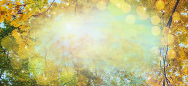 Sarı ve yeşil sonbahar yaprakları ve güneş ışığıyla güneşli bir sonbahar günü. Arka plan bulanık, sancaklı. Boşluğu kopyala.