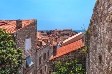Hırvatistan. Eski Dubrovnik 'in çatıları görünüyor. Arka plan bulanık..