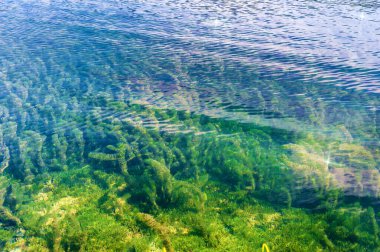Hırvatistan. Plitvice Lakes 'in temiz suyu. Gölün dibindeki yosunlar. Su yüzeyi dokusu..
