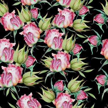 Çiçekli parlak, pürüzsüz bir desen. Gül. Suluboya çizimi. El çizimi.