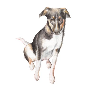 Köpekli suluboya resim. El çizimi.