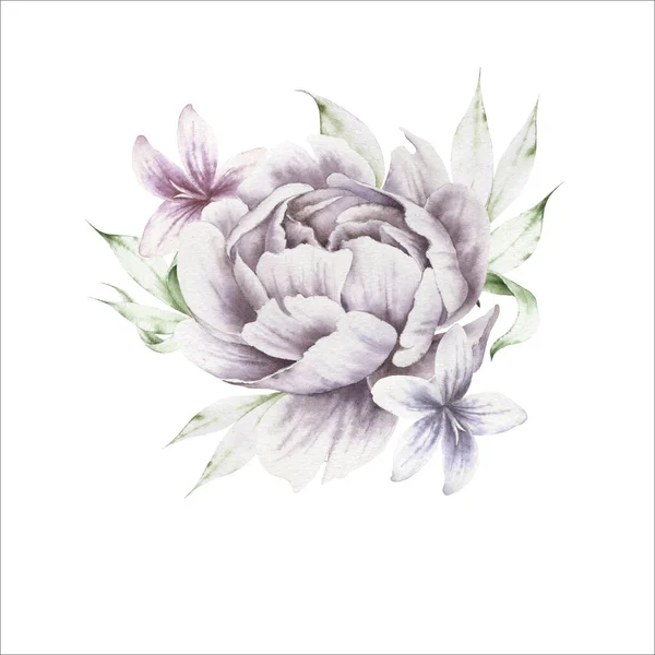 Akvarell Bukett Med Blommor Pion Illustration Handritad — Stockfoto