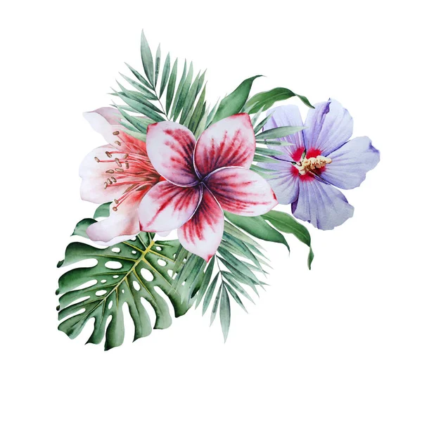 Ramo Brillante Con Flores Hibiscus Monstera Ilustración Acuarela Dibujado Mano — Foto de Stock