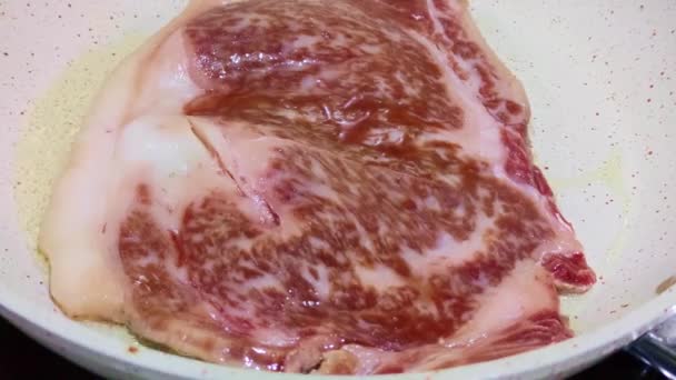 来自日本九州野崎农场的鹿儿岛A5 Wagyu Ribeye 优质肉类 烹调概念 — 图库视频影像