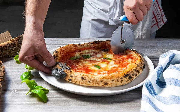 The chef is slicing a fresh pizza. Margarita Pizza straight from the wood-fired oven. Close-up, baked in a wood-fired pizza oven. Italian cuisine. Rustic style. Culinary and restaurant concept.