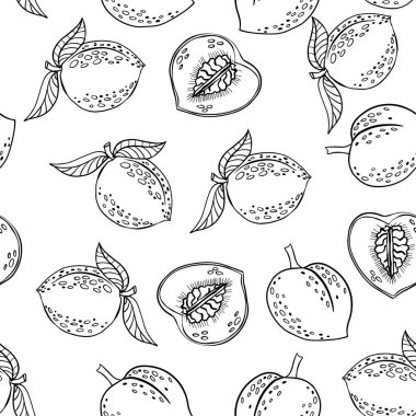  Şeftali desenli, çizim tarzı meyveler. El çizimi vektör illüstrasyonu. 