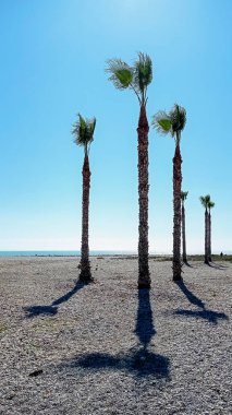 Chilches Sahili, Castellon, İspanya. Sonbaharda Akdeniz