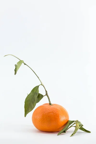 Portrait Tangerine Stem Green Leaves Isolated White Background — Stockfoto