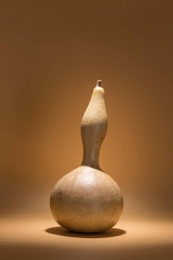 Uzamış bir balkabağı görüntüsü, kahverengi tonlarda sıcak bir ortama yerleştirilmiş, izole edilmiş.