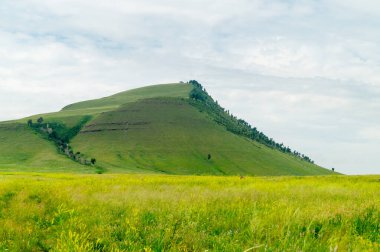 Güzel bozkır manzarası: çayır, tepeler ve gökyüzü. Hakassia, Rusya.