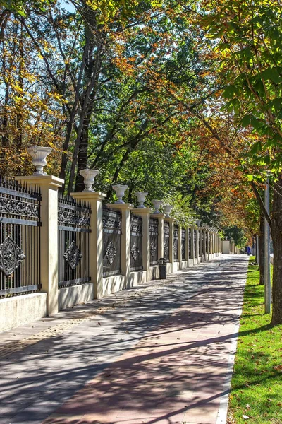 Vladimir Vernadsky Street Park Uppkallad Efter Shevtjenko Dnipro Stad Ukraina — Stockfoto