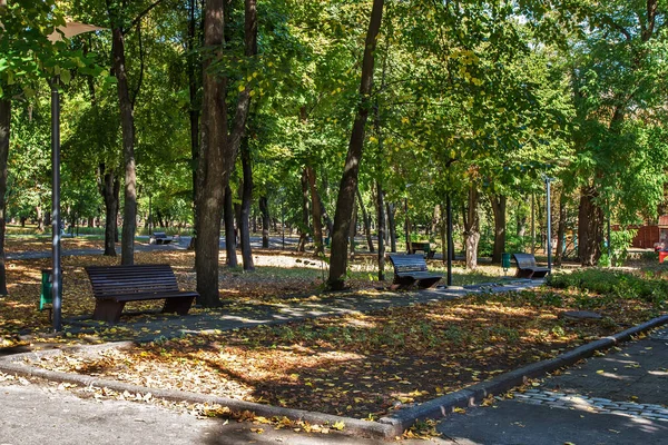 Parque Que Lleva Nombre Shevchenko Palacio Estudiantes Dnu Cubierta Observación — Foto de Stock