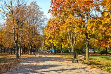 Altın sonbahar, Zafer Çemberi 'nde beklenti, Dinyeper nehrinin yanında bir tükürük, Katedral bölgesi, Dinyeper şehri, Ukrayna 