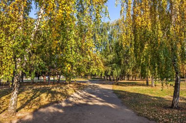 Altın sonbahar, Zafer Çemberi 'nde beklenti, Dinyeper nehrinin yanında bir tükürük, Katedral bölgesi, Dinyeper şehri, Ukrayna 
