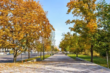 Golden Autumn, Prospect on the Victory Embankment, Pribrezhny Park, Cathedral District, Dnipro City, Ukrayna 