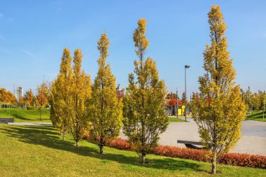 Golden Autumn, Prospect on the Victory Embankment, Pribrezhny Park, Cathedral District, Dnipro City, Ukrayna 