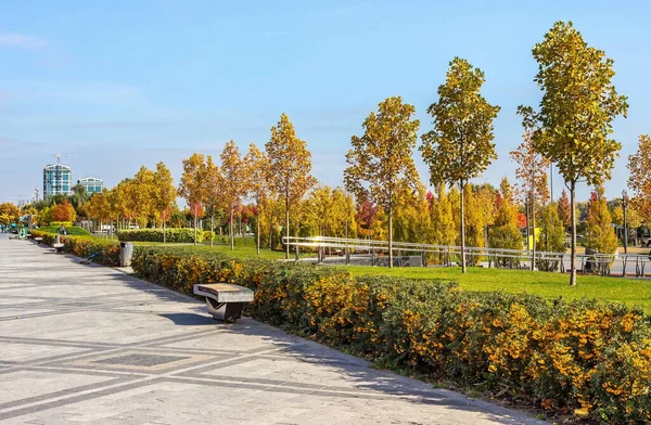 Golden Autumn Prospect Victory Embankment Pribrezhny Park Cathedral District Dnipro — Stock fotografie