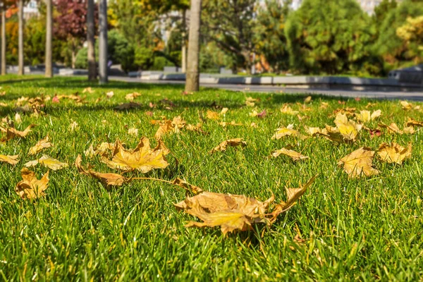 Golden Autumn Prospect Victory Embankment Pribrezhny Park Cathedral District Dnipro — Stock Photo, Image