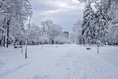 Zafer Anıtı, Dnipro Şehri, Ukrayna 