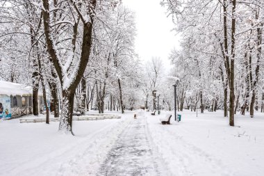 Kültür ve Eğlence Parkı adını T.G. Shevchenko 'dan almıştır, Ukrayna' nın başkenti Dnipro 'dan. 