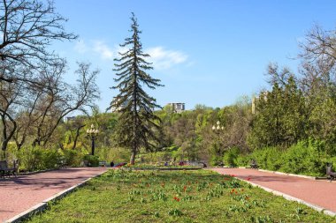 Monastyrsky Adası, Dnipro, Ukrayna