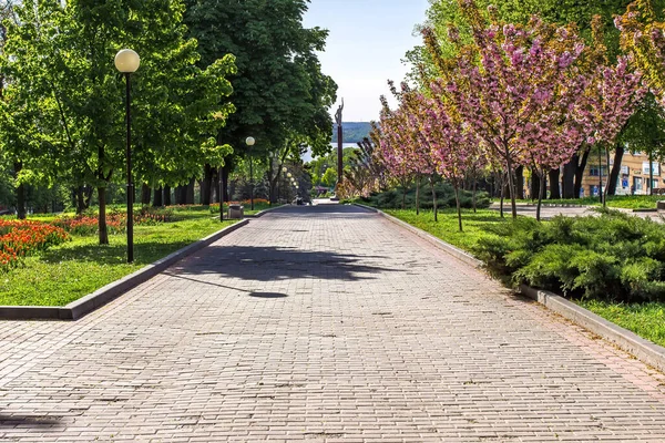 Monumento Gloria Ciudad Sakura Ciudad Dnepr Ucrania — Foto de Stock