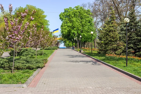 Памятник Славы Сакура Днепр Украина — стоковое фото