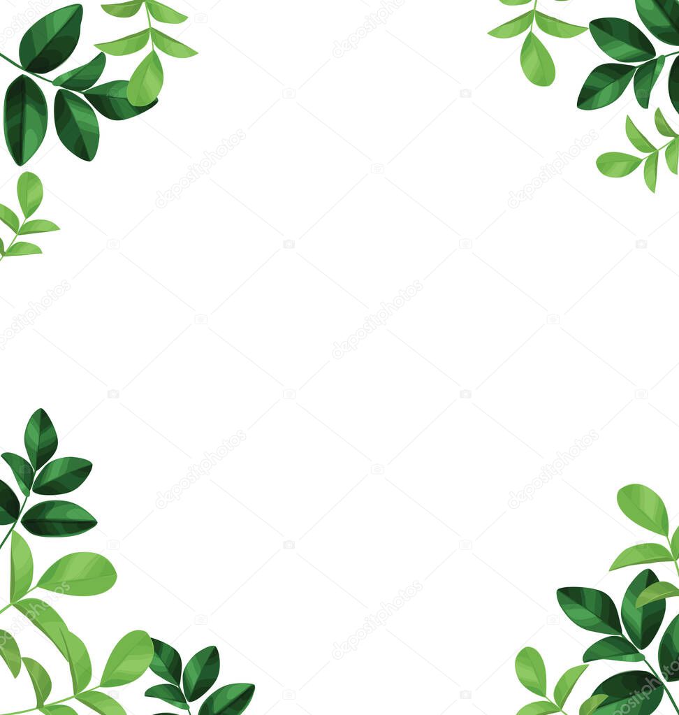 Decorative borders with foliage. Floral greeting card with place for text. Template for invitation card with forest leaves. 