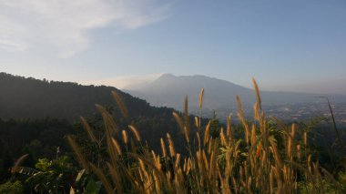 viem Buckit sitamiang, Batı Java