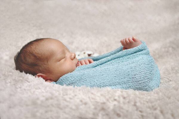Portrait of a newborn baby wrapped in a plush blanket. Newborn portrait.