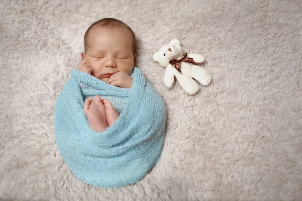 Portrait Newborn Baby Wrapped Plush Blanket Newborn Portrait — Stock Photo, Image