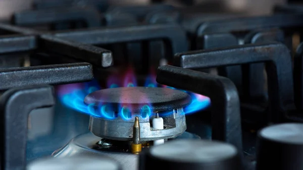 Gas Burning Blue Flames Burner Gas Stove Concept Carbon Footprint — Stock Photo, Image