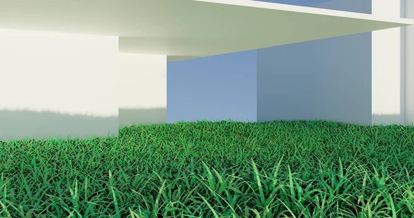 Minimalist White Room Green Grass Rendering Illustration — стоковое фото